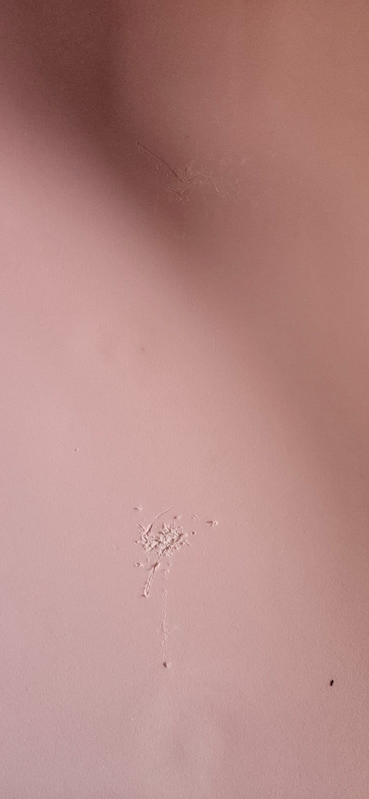 Miniatura 5 de Silla Eames saldo por defecto